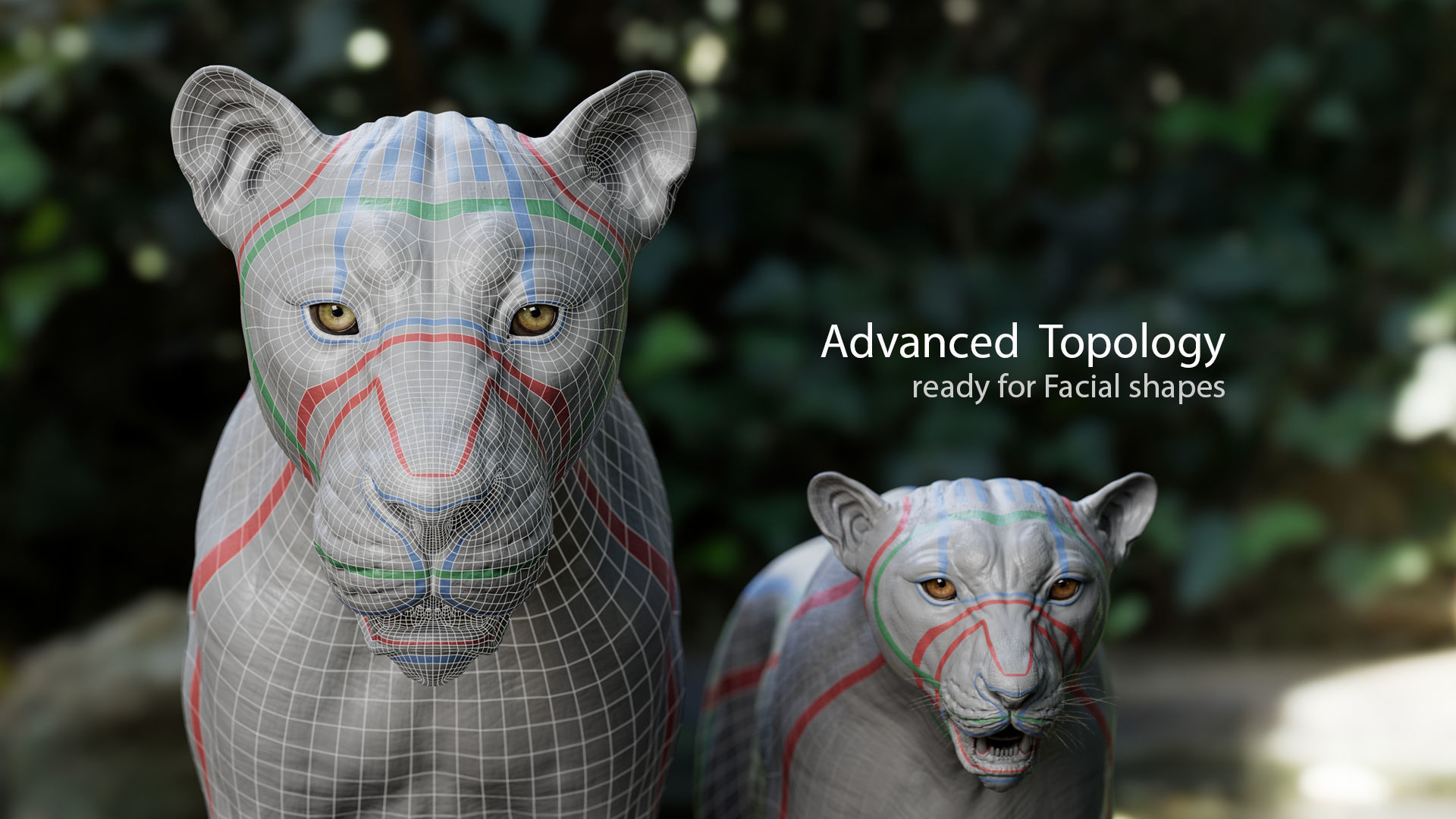 Lion Asset - Digital Model and Textures Low-poly 3D model_7