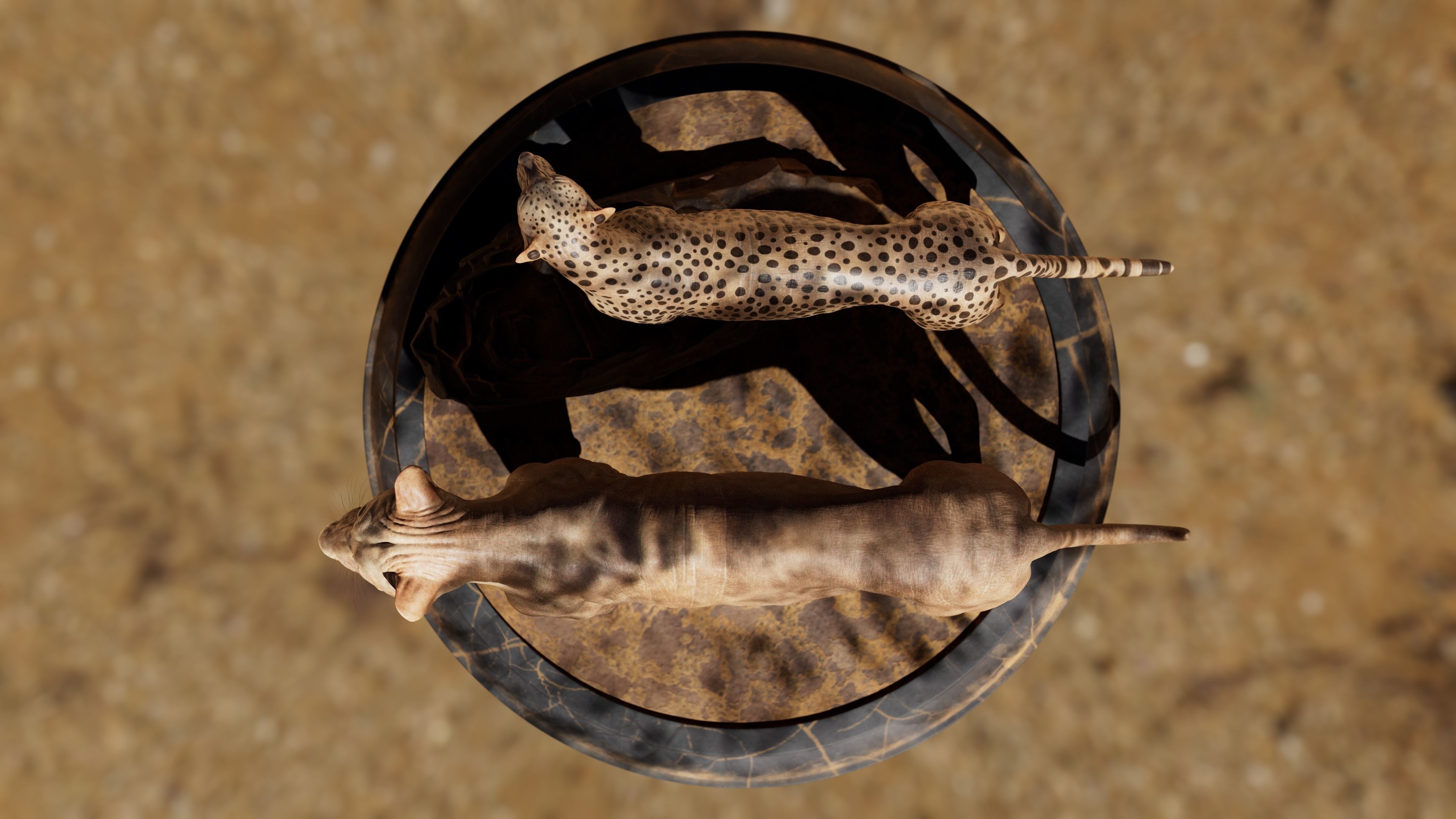 Cheetah Asset - Digital Model and Textures Low-poly 3D model_12