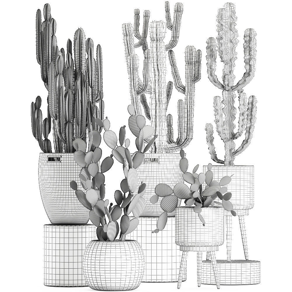 Decorative cactus in baskets for the interior 617 3D model_7