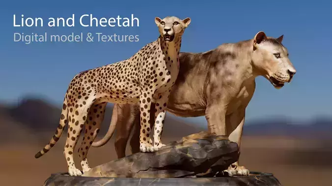 Lion and Cheetah - Digital Model and Tertures Low-poly 3D model