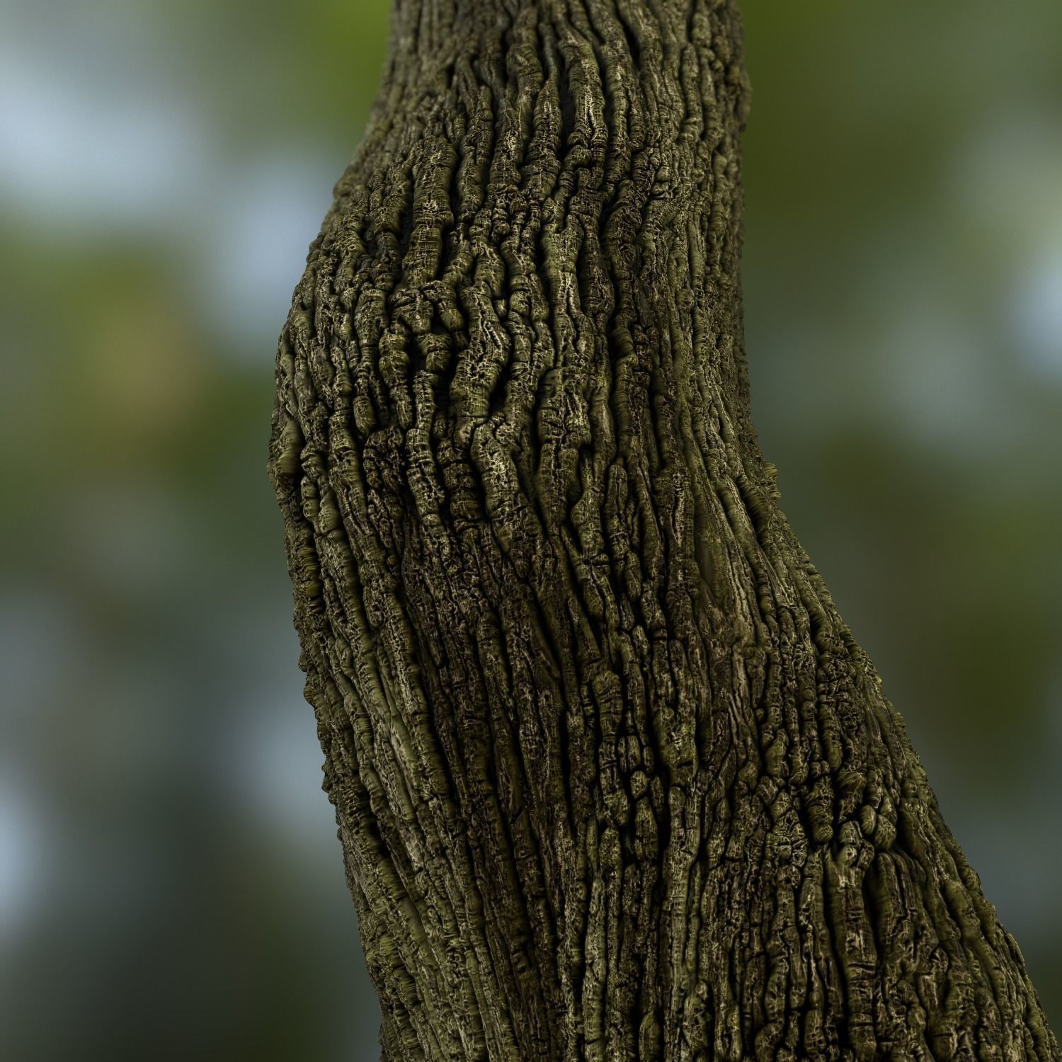 Oak-bark PBR Texture Free low-poly 3D model_1