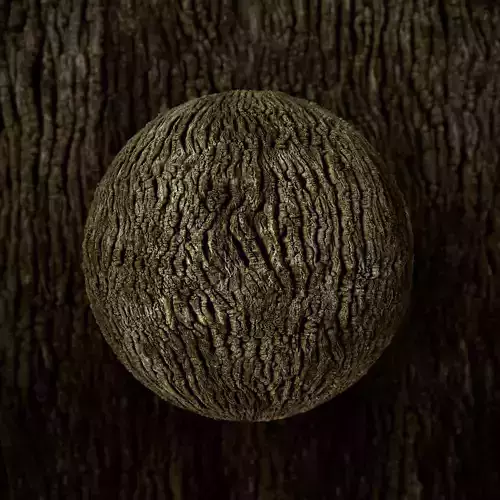 Oak-bark PBR Texture Free low-poly 3D model