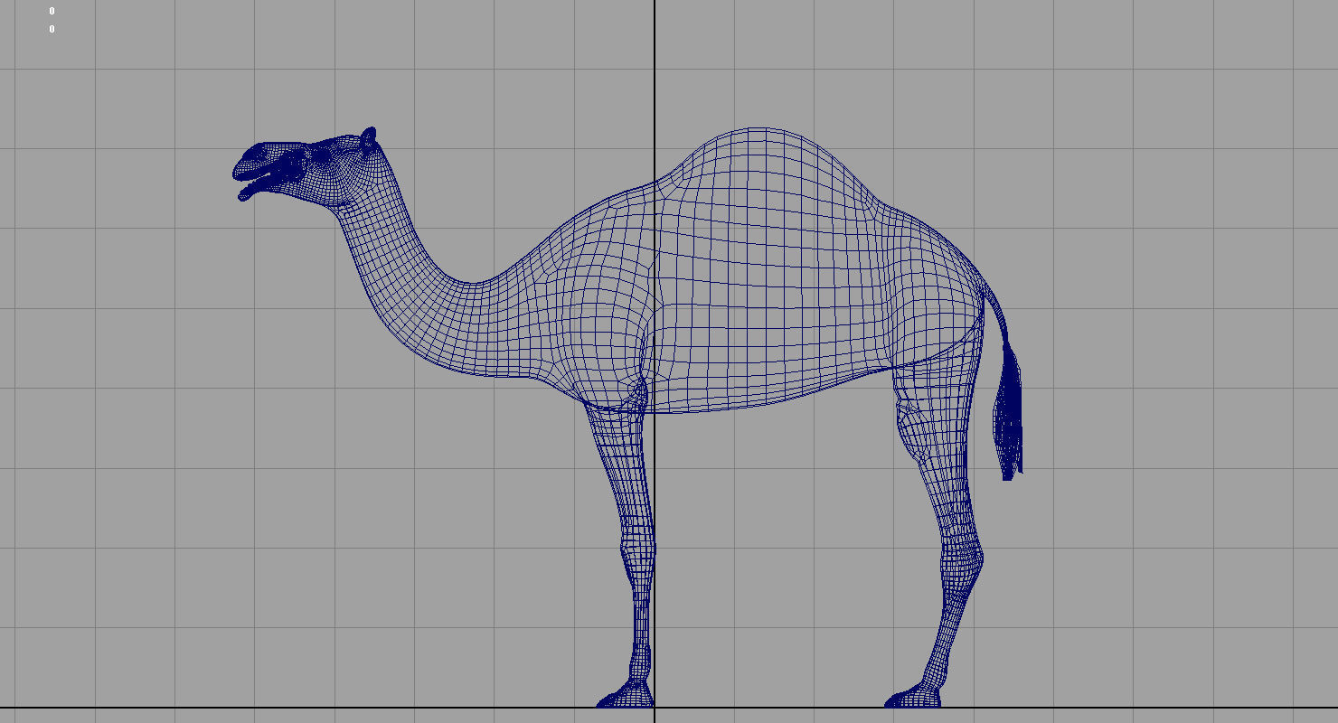 camel 3d model 3D model_11