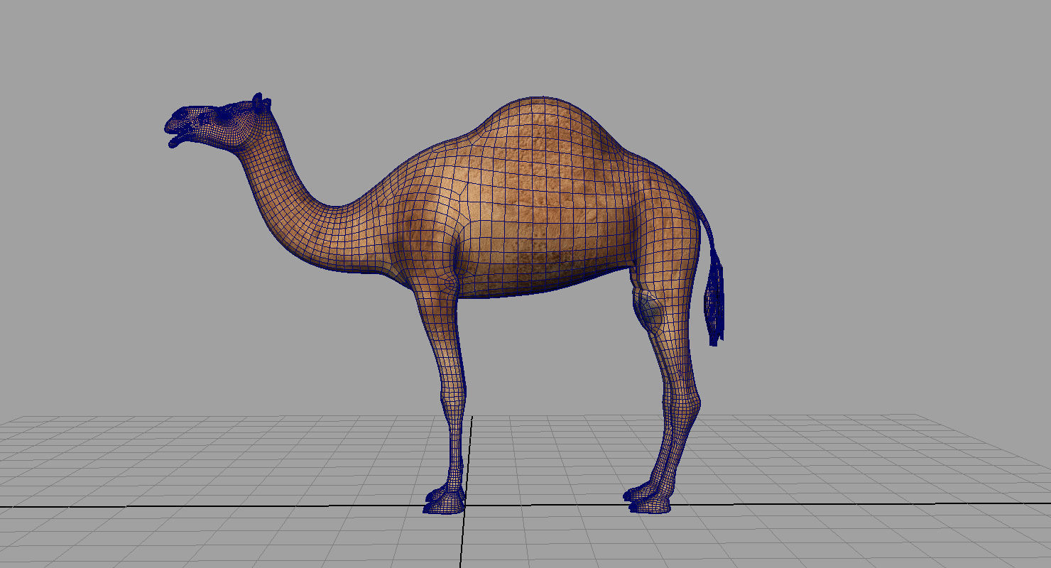 camel 3d model 3D model_7