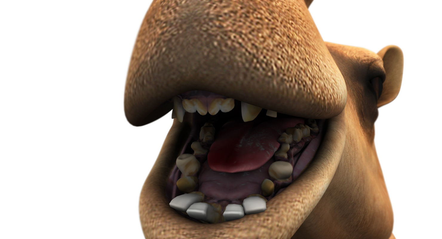 camel 3d model 3D model_4