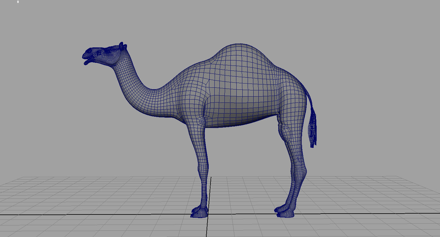 camel 3d model 3D model_8