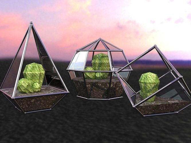 Florarium terrarium for plants Low-poly 3D model