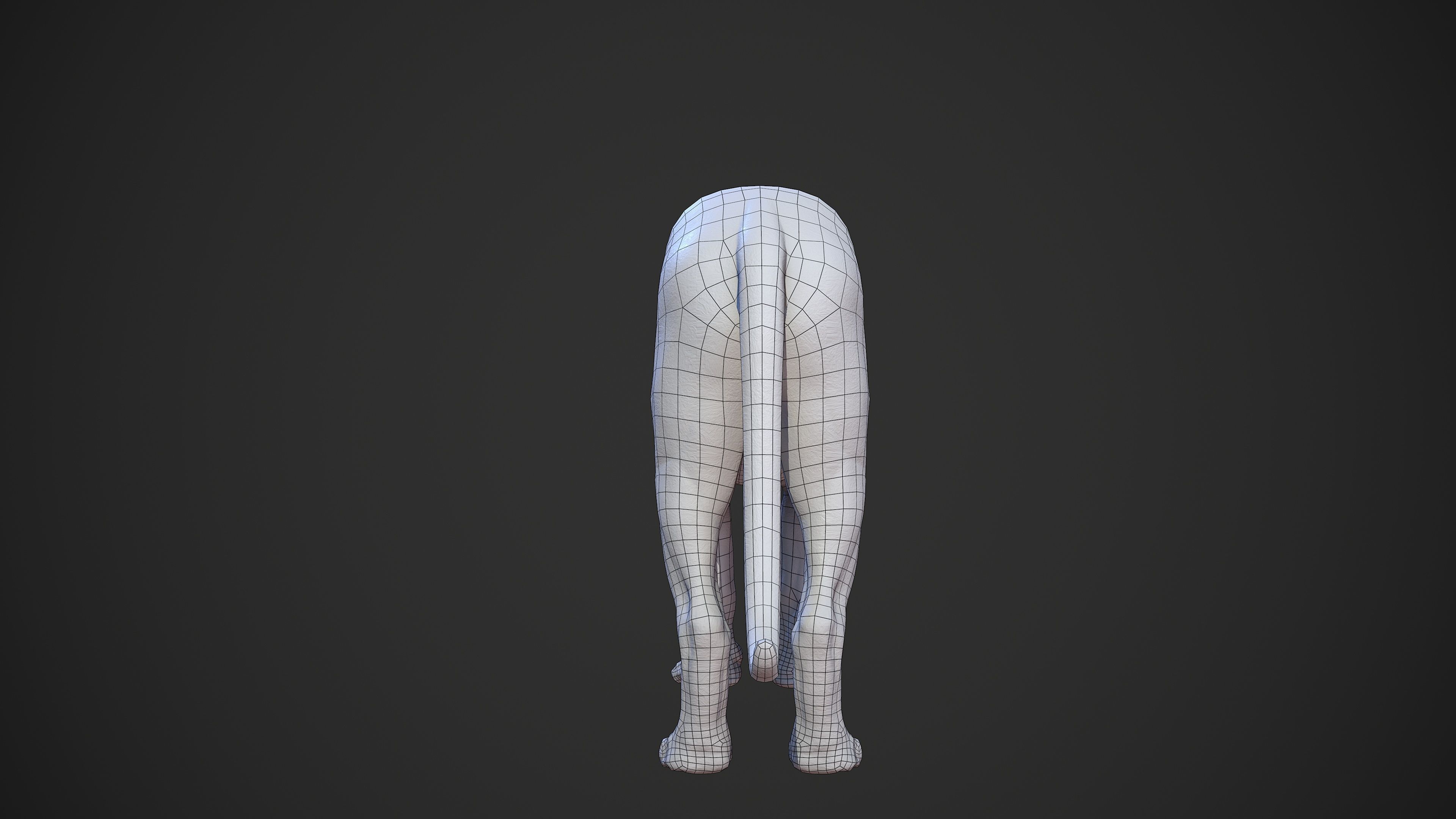 Animal - Lion Anatomy Skin Ecorche Body Base Low-poly 3D model_48