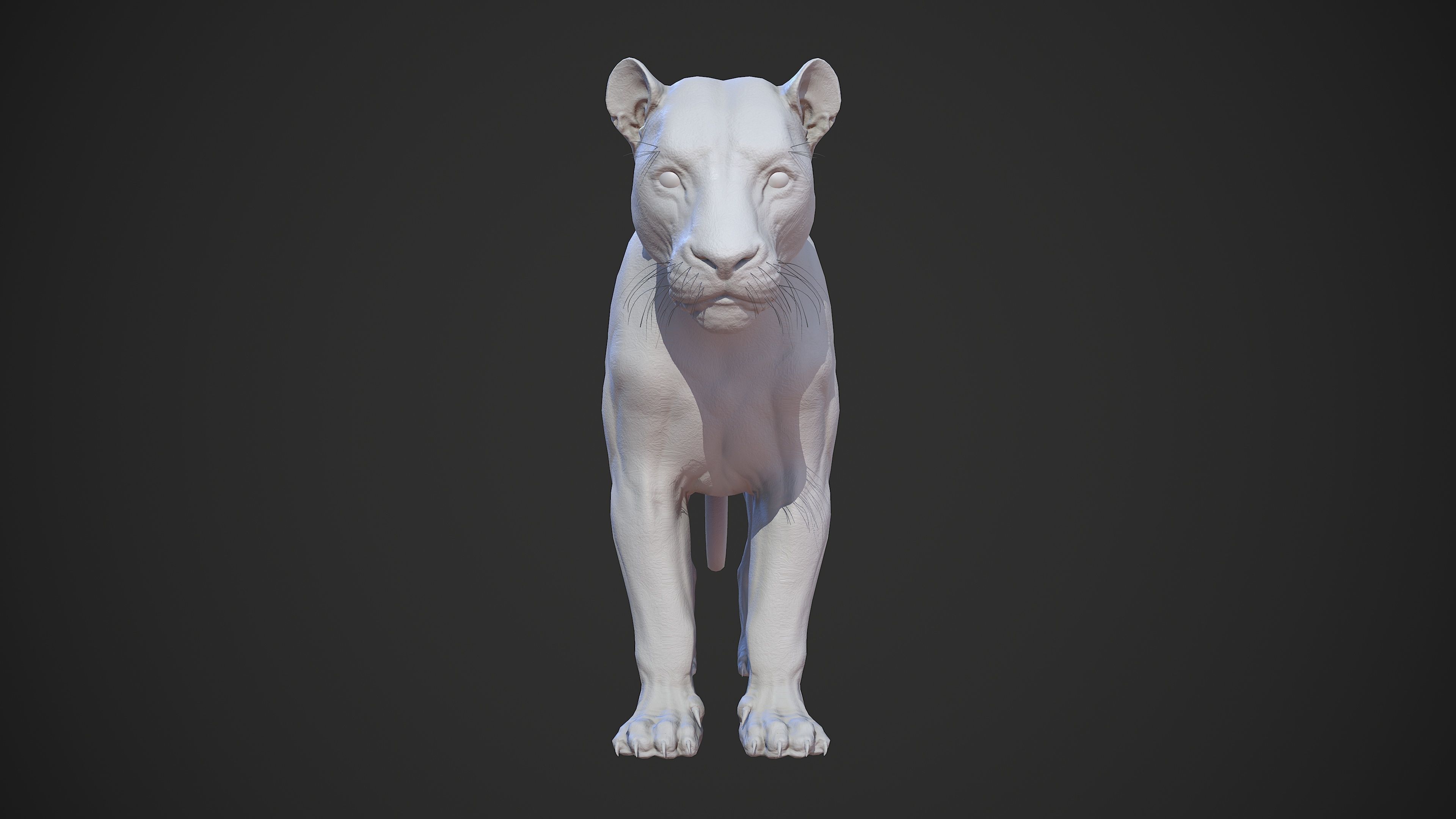 Animal - Lion Anatomy Skin Ecorche Body Base Low-poly 3D model_36