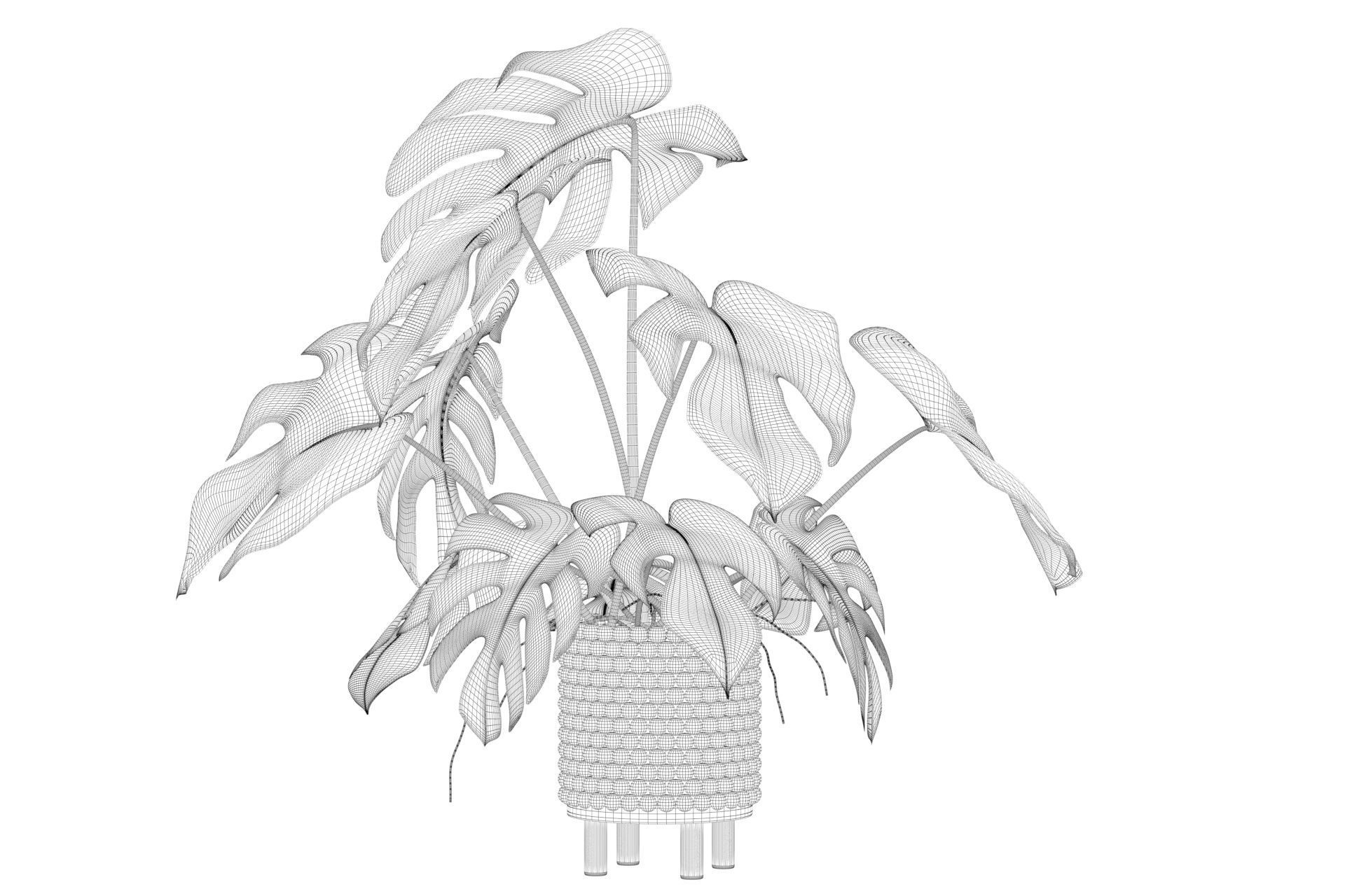Monstera in beautiful wooden pot 3D model_11