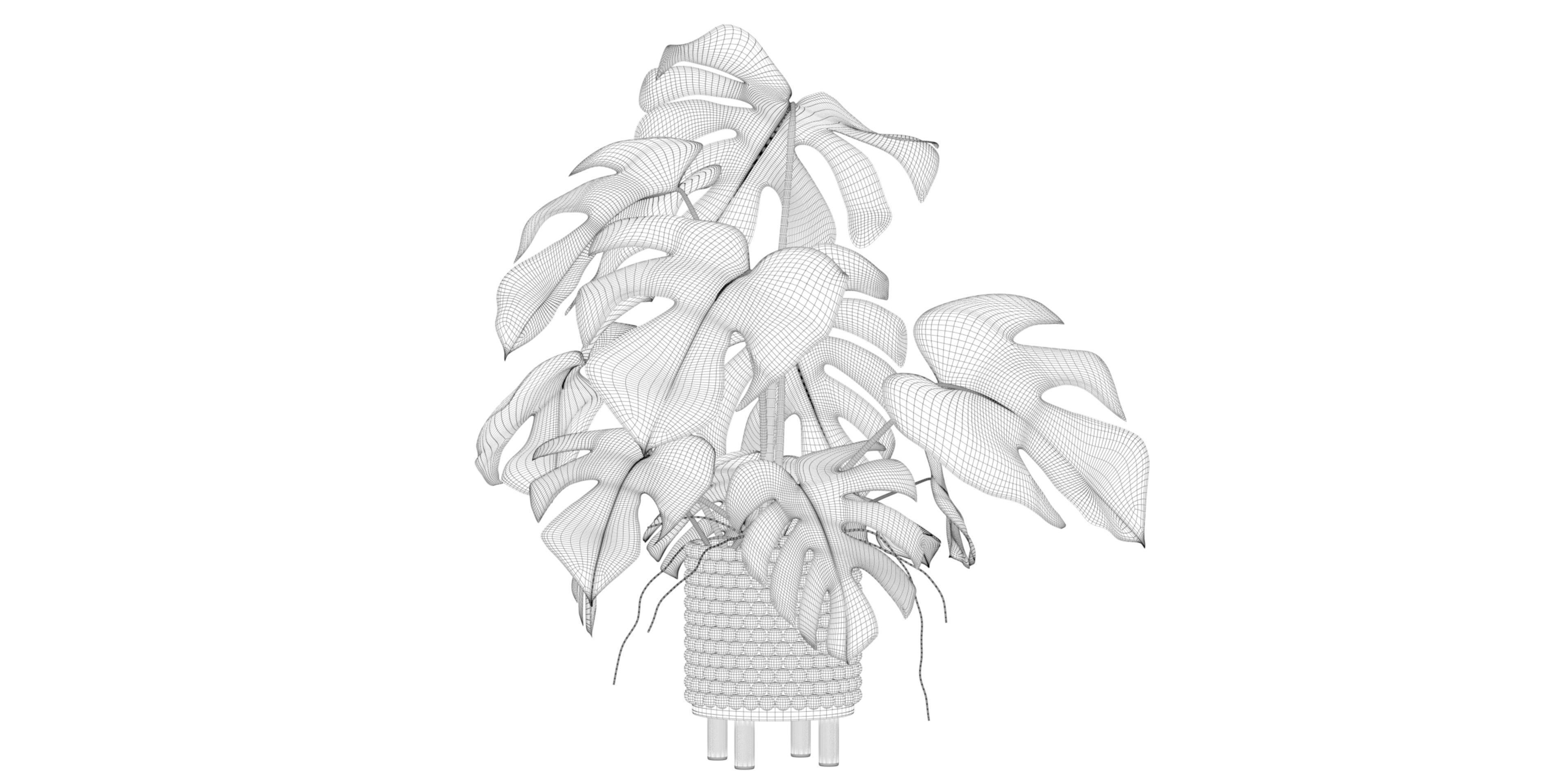 Monstera in beautiful wooden pot 3D model_13