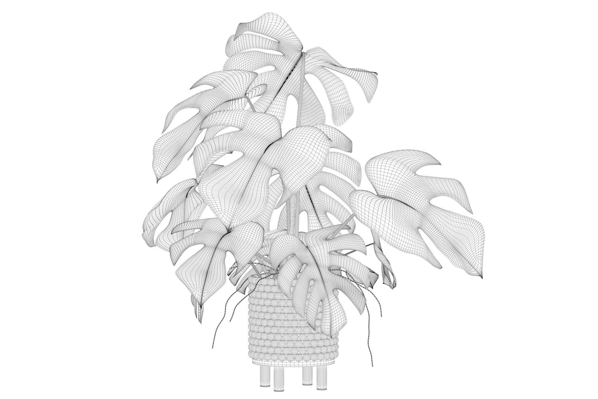 Monstera in beautiful wooden pot 3D model_9