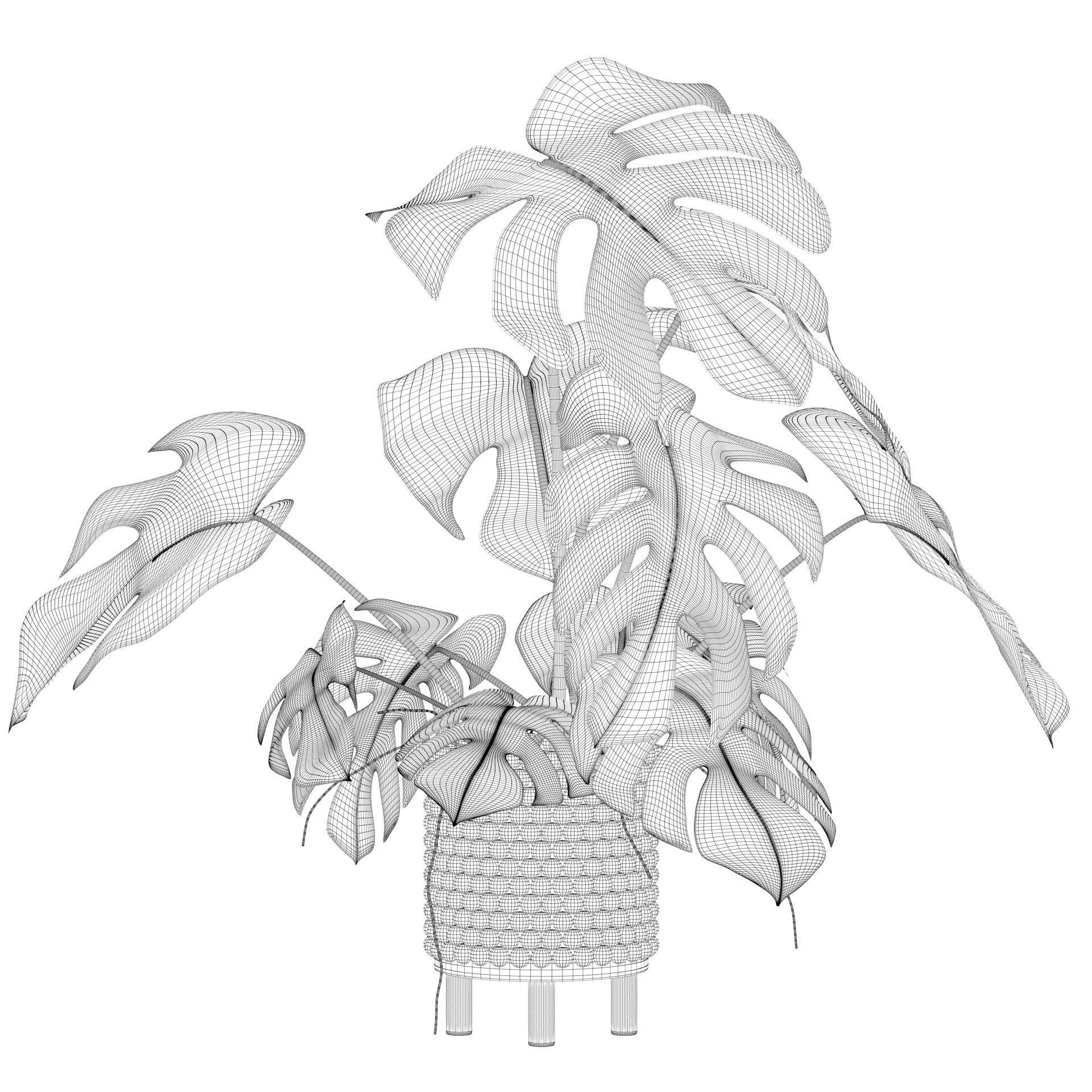 Monstera in beautiful wooden pot 3D model_3
