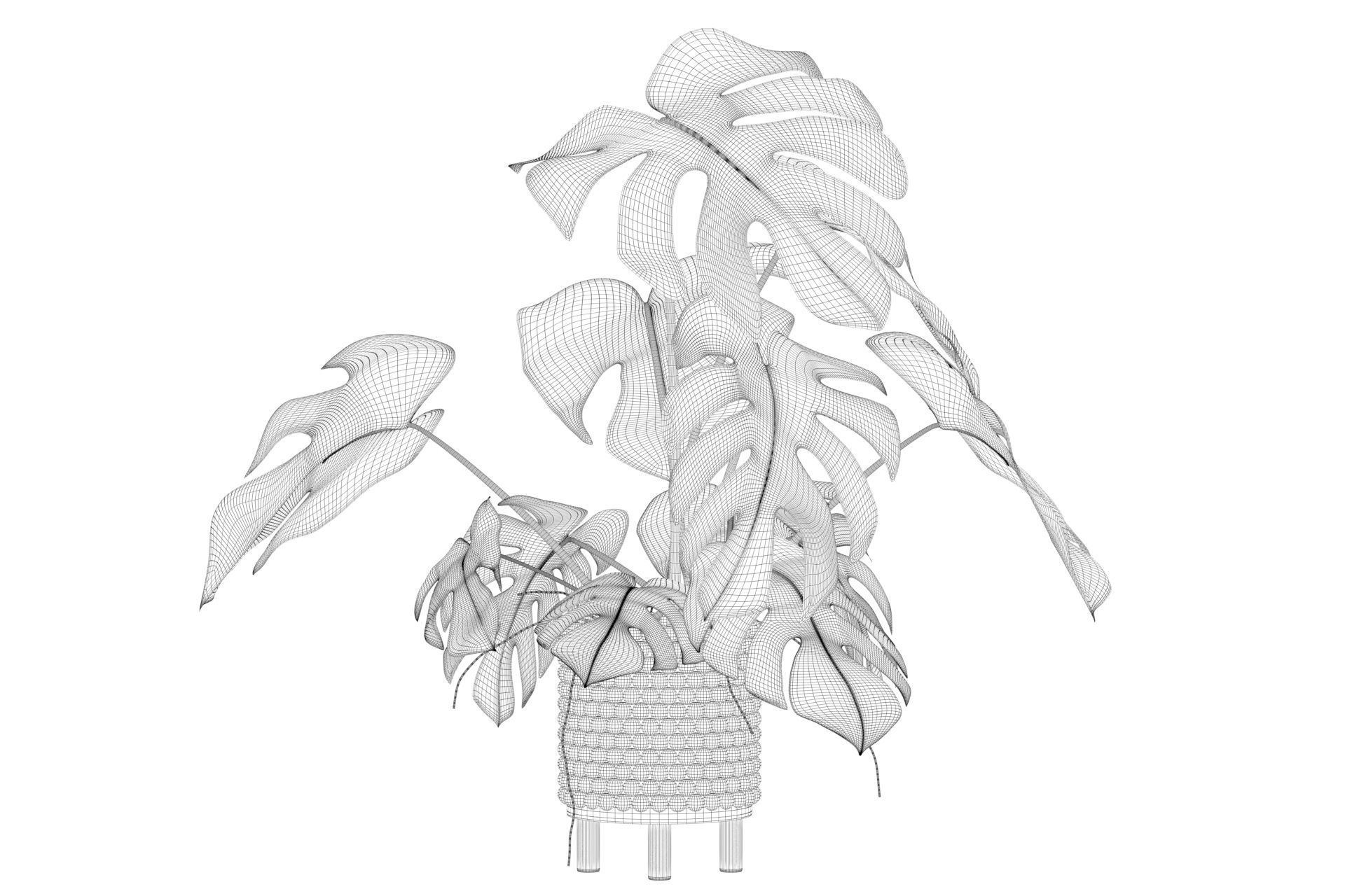 Monstera in beautiful wooden pot 3D model_10