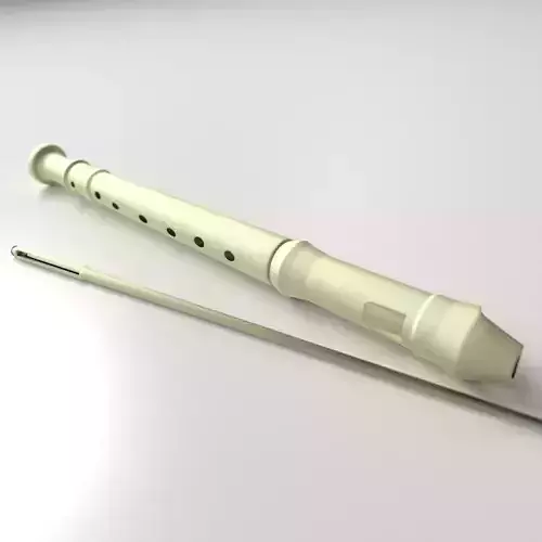 Recorder syringe 3D model