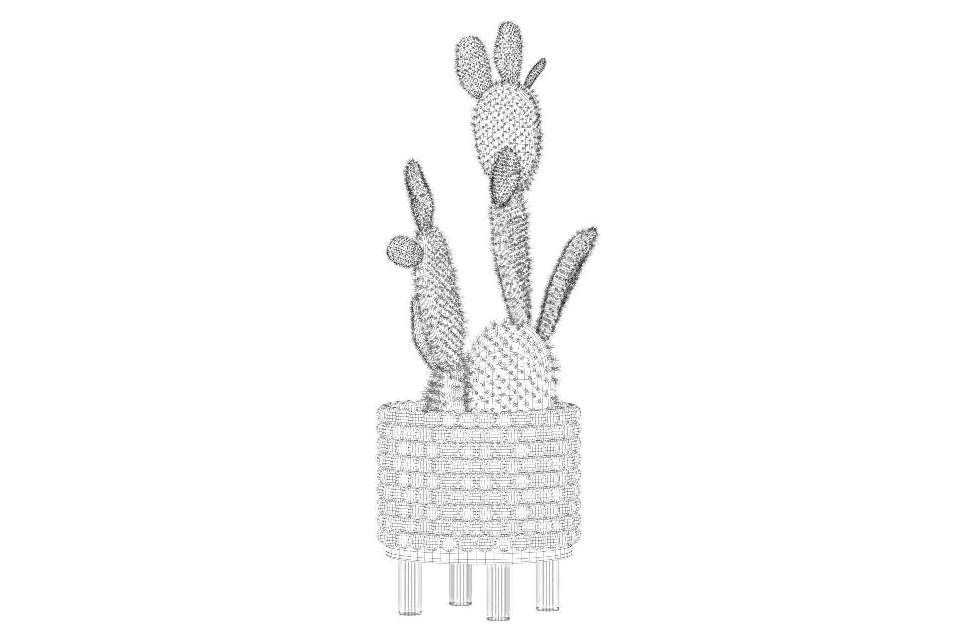 Opuntia microdasys in wooden flower pot 3D model_69