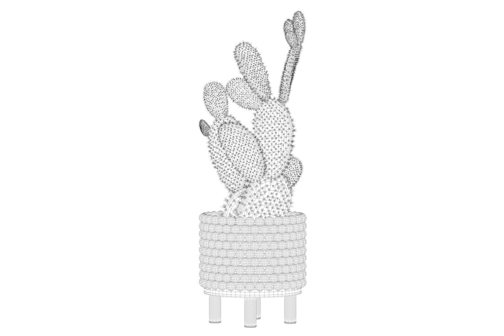 Opuntia microdasys in wooden flower pot 3D model_54