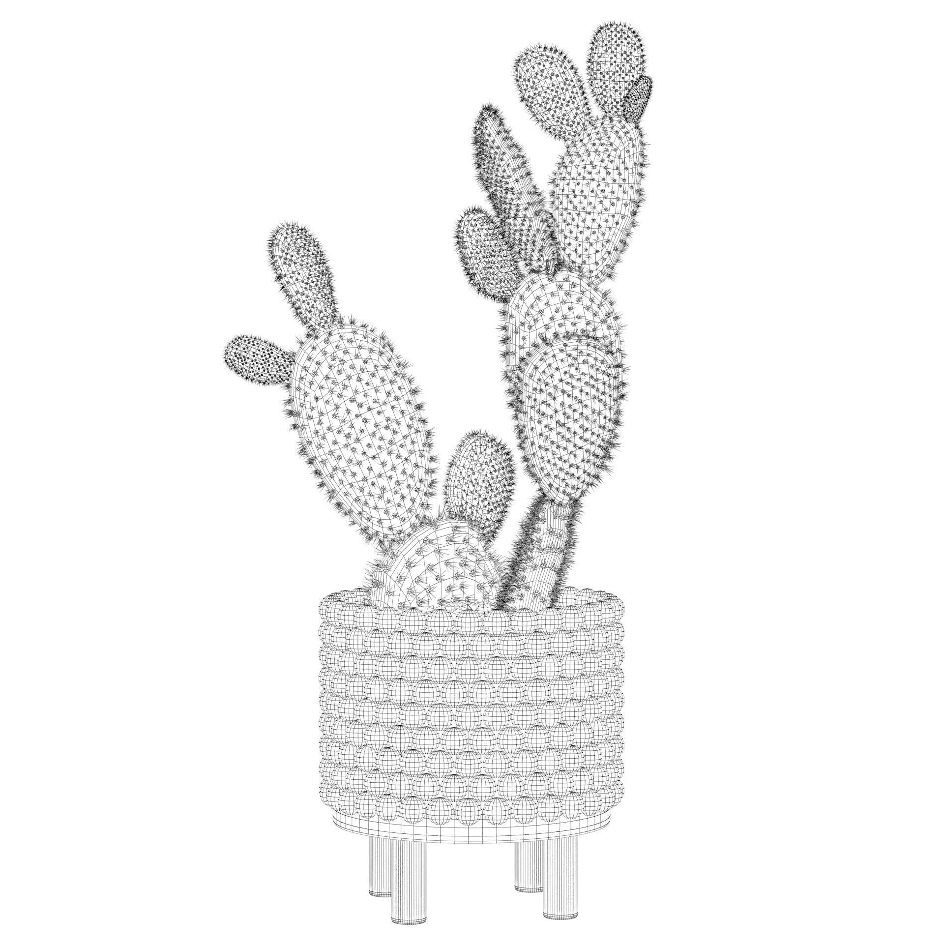 Opuntia microdasys in wooden flower pot 3D model_10