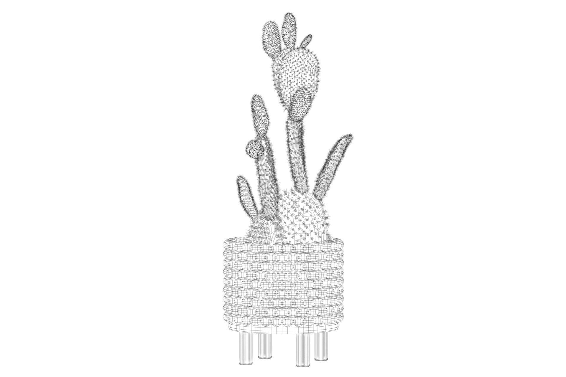Opuntia microdasys in wooden flower pot 3D model_68