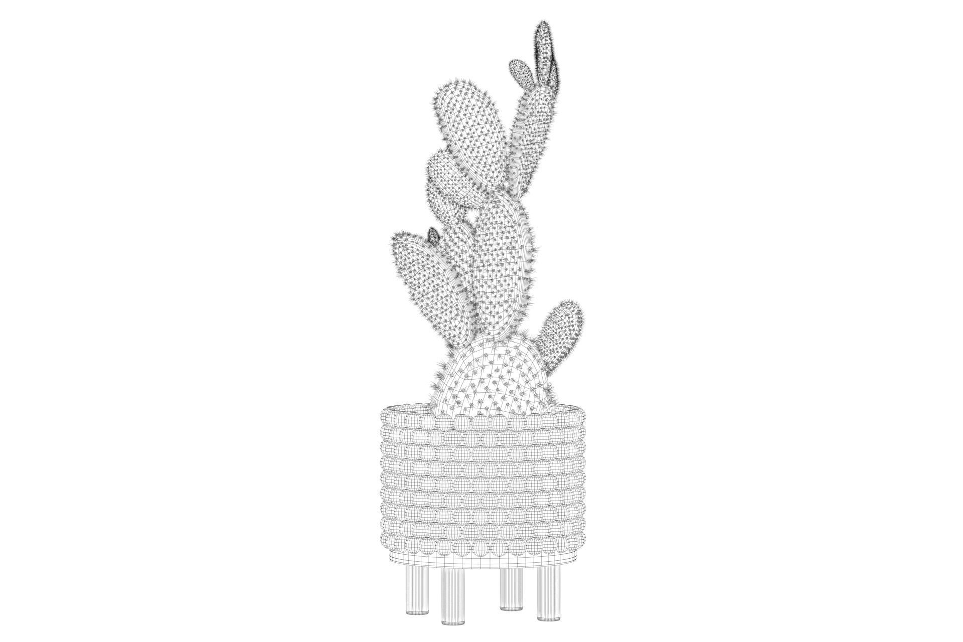 Opuntia microdasys in wooden flower pot 3D model_55