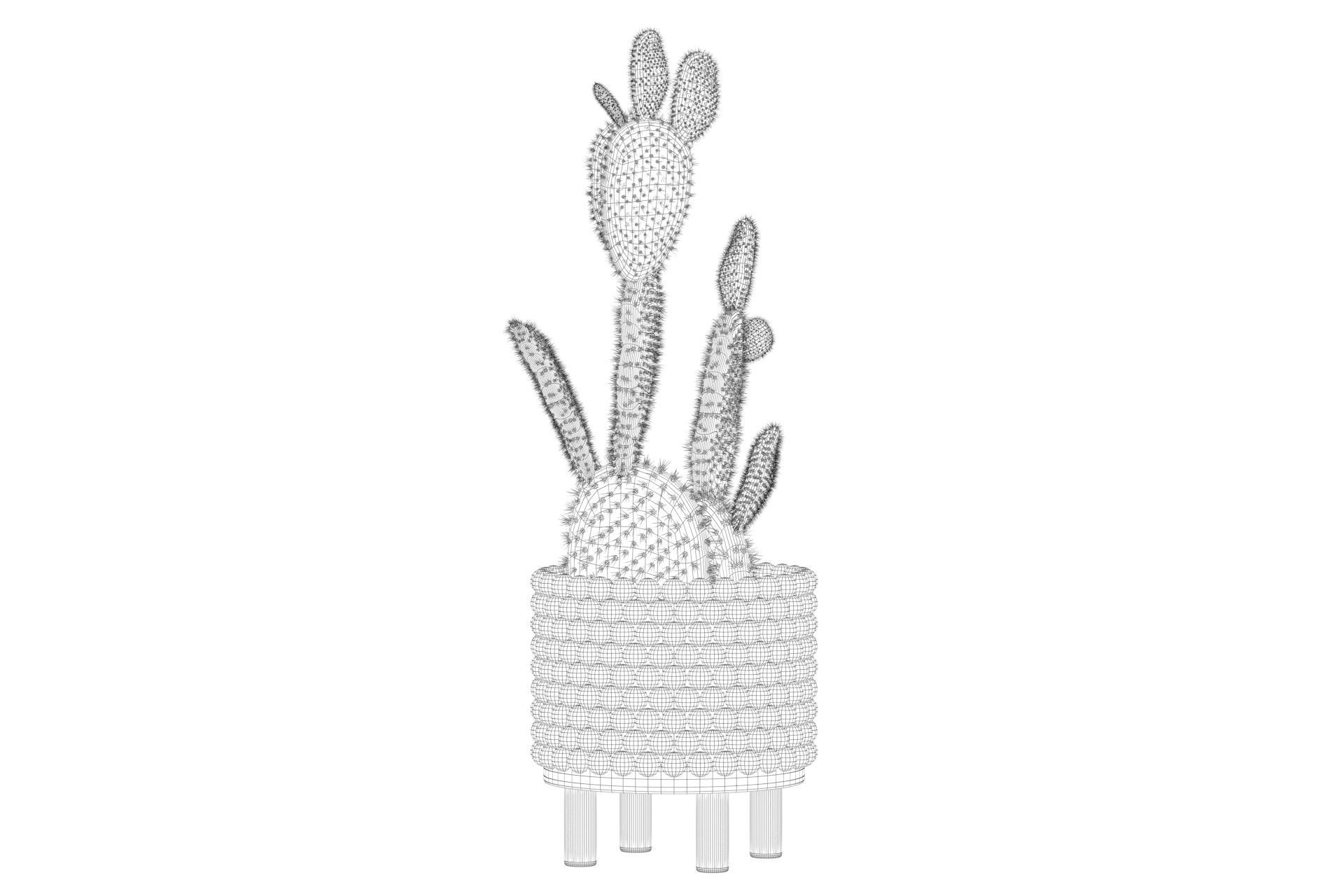 Opuntia microdasys in wooden flower pot 3D model_57