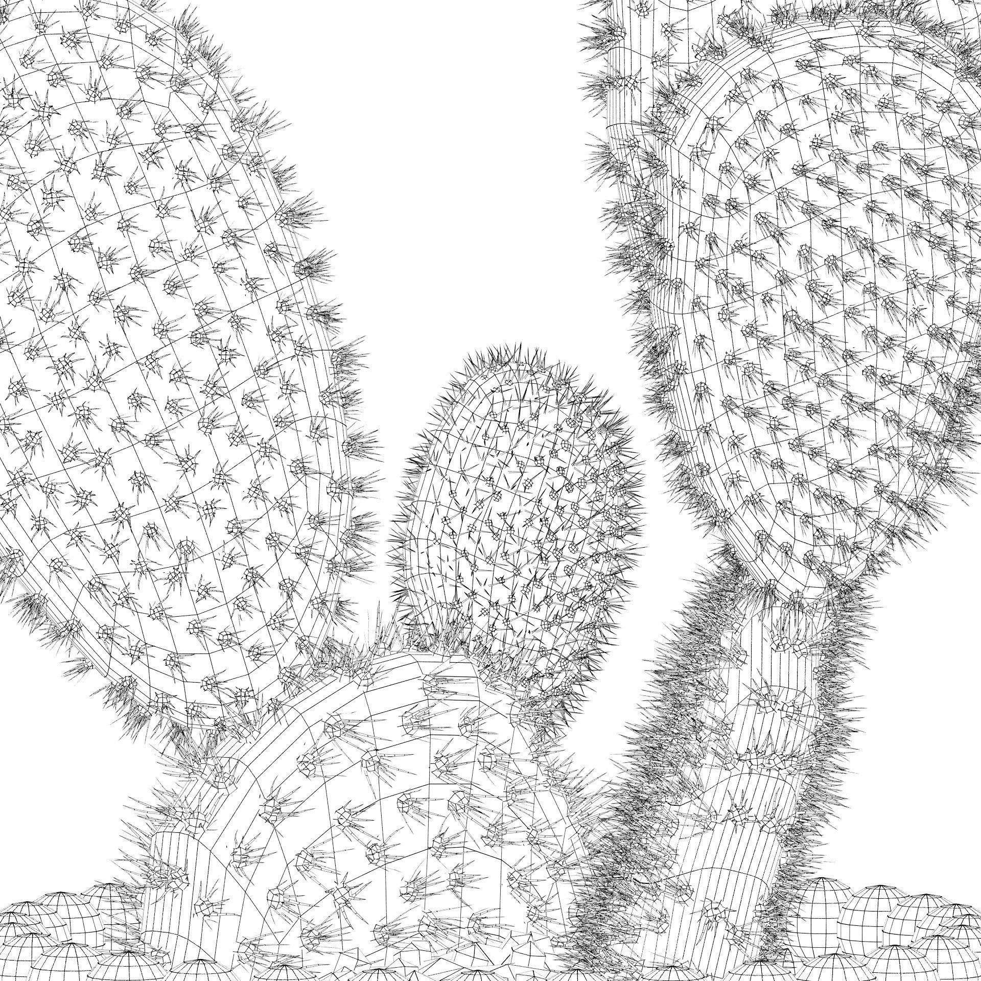 Opuntia microdasys in wooden flower pot 3D model_9