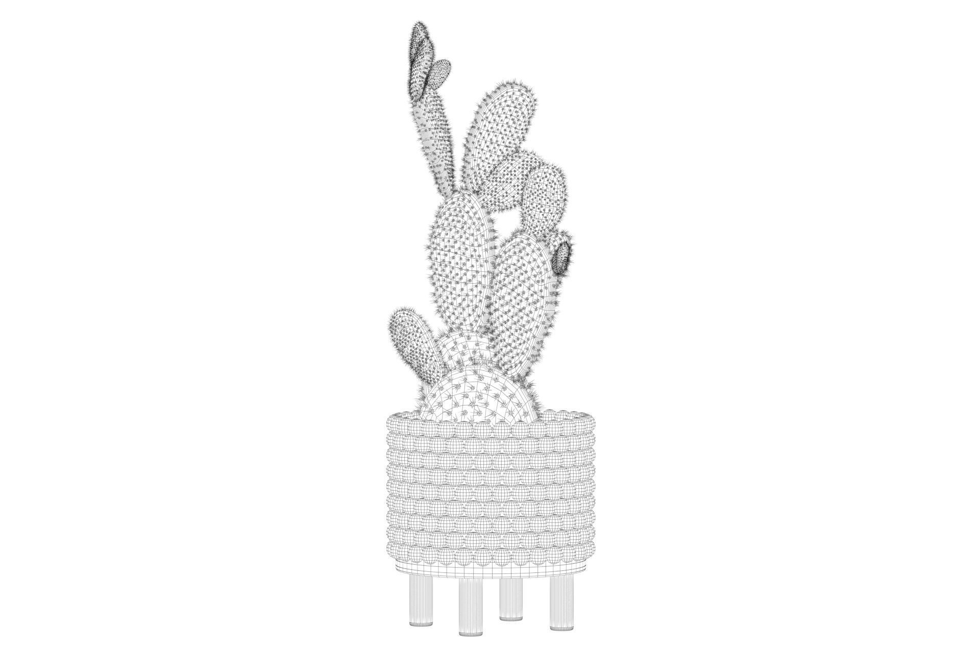 Opuntia microdasys in wooden flower pot 3D model_65