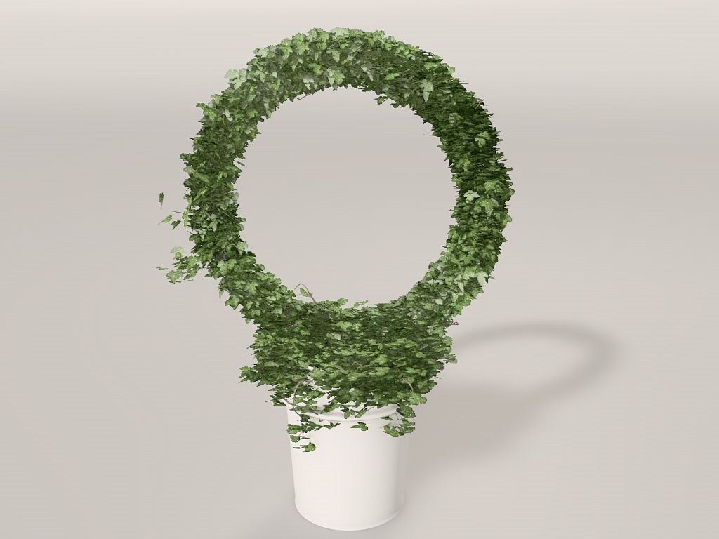 Ivy plant Free 3D model