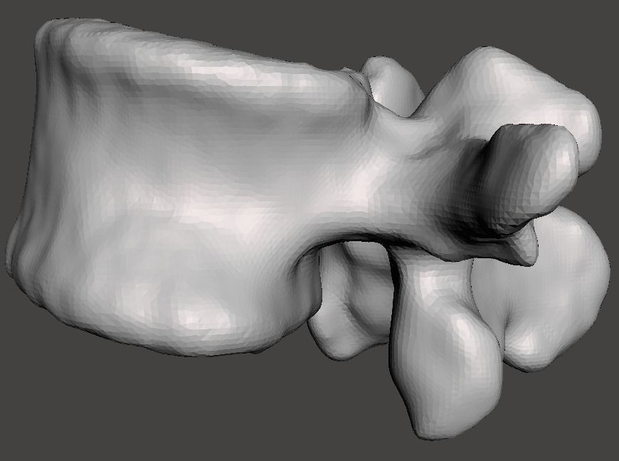 Human vertebrae -  male 3D model_5