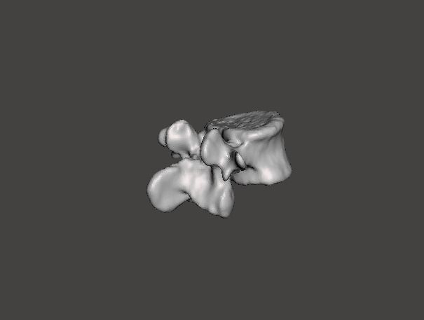 Human vertebrae -  male 3D model_8