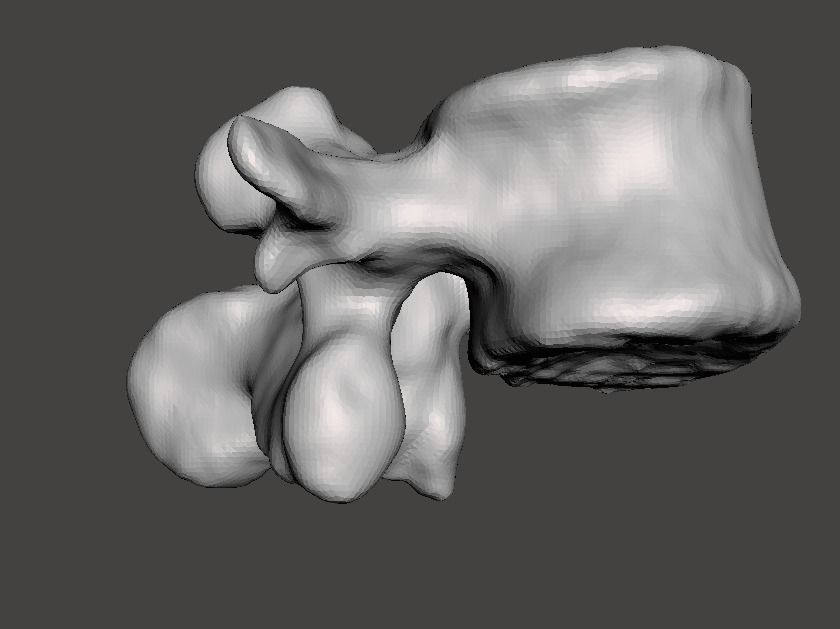 Human vertebrae -  male 3D model_7