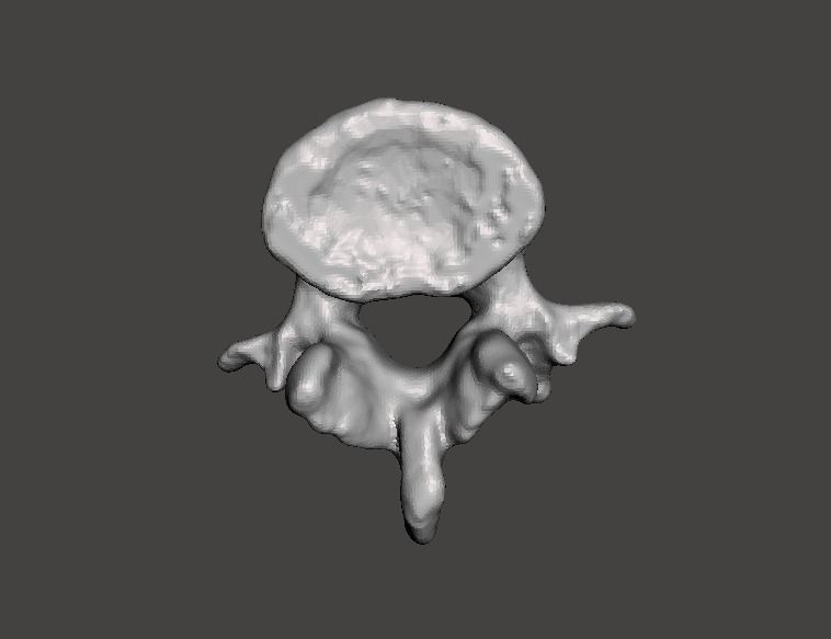 Human vertebrae -  male 3D model_1