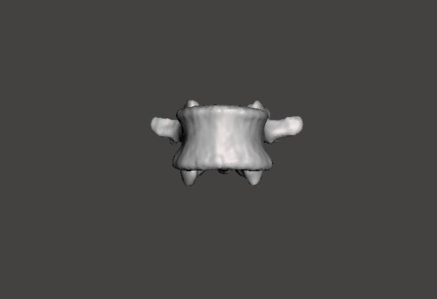 Human vertebrae -  male 3D model_9
