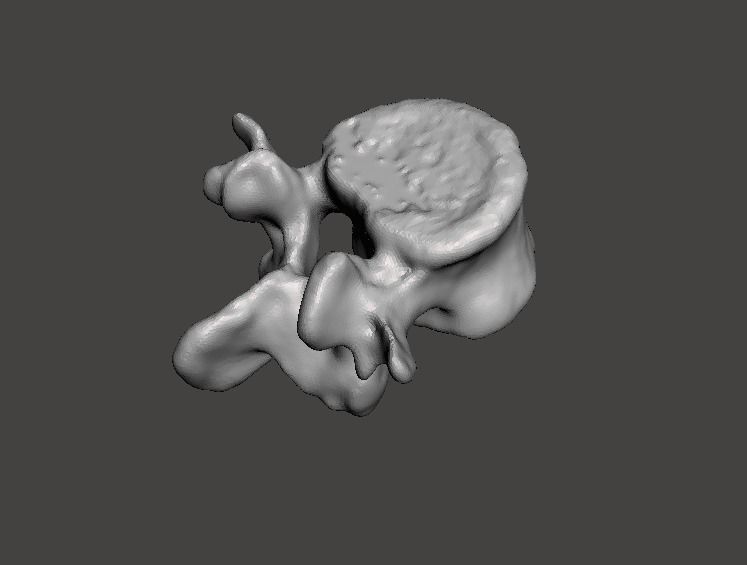 Human vertebrae -  male 3D model_0