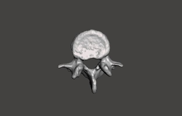 Human vertebrae -  male 3D model_10