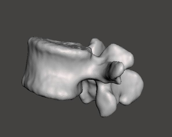 Human vertebrae -  male 3D model_11