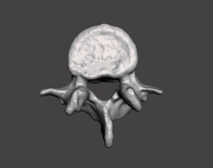 Human vertebrae -  male 3D model_12