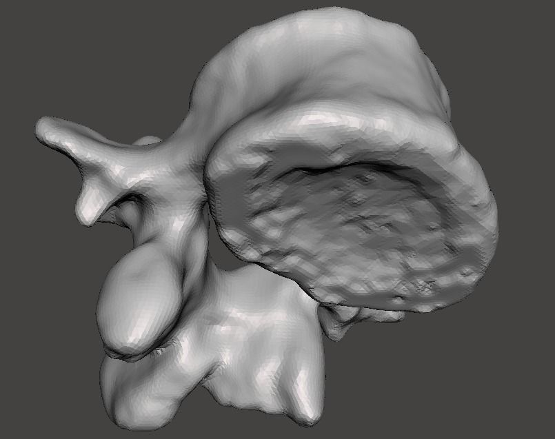 Human vertebrae -  male 3D model_16