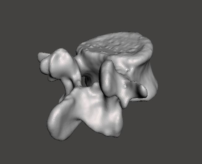 Human vertebrae -  male 3D model_2