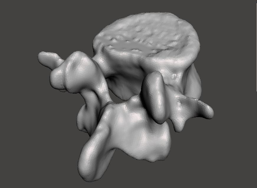 Human vertebrae -  male 3D model_4