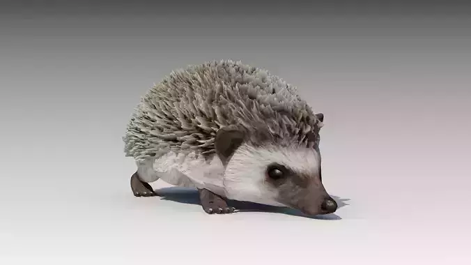 Hedgehog Animated Low-poly 3D model