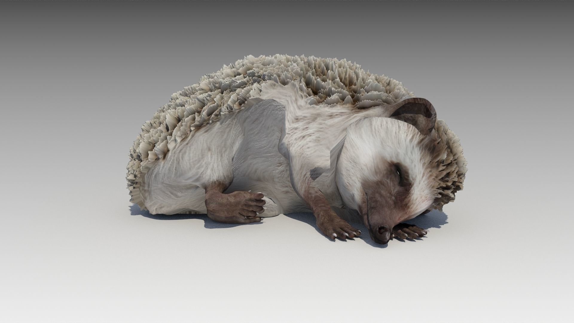 Hedgehog Animated Low-poly 3D model_3