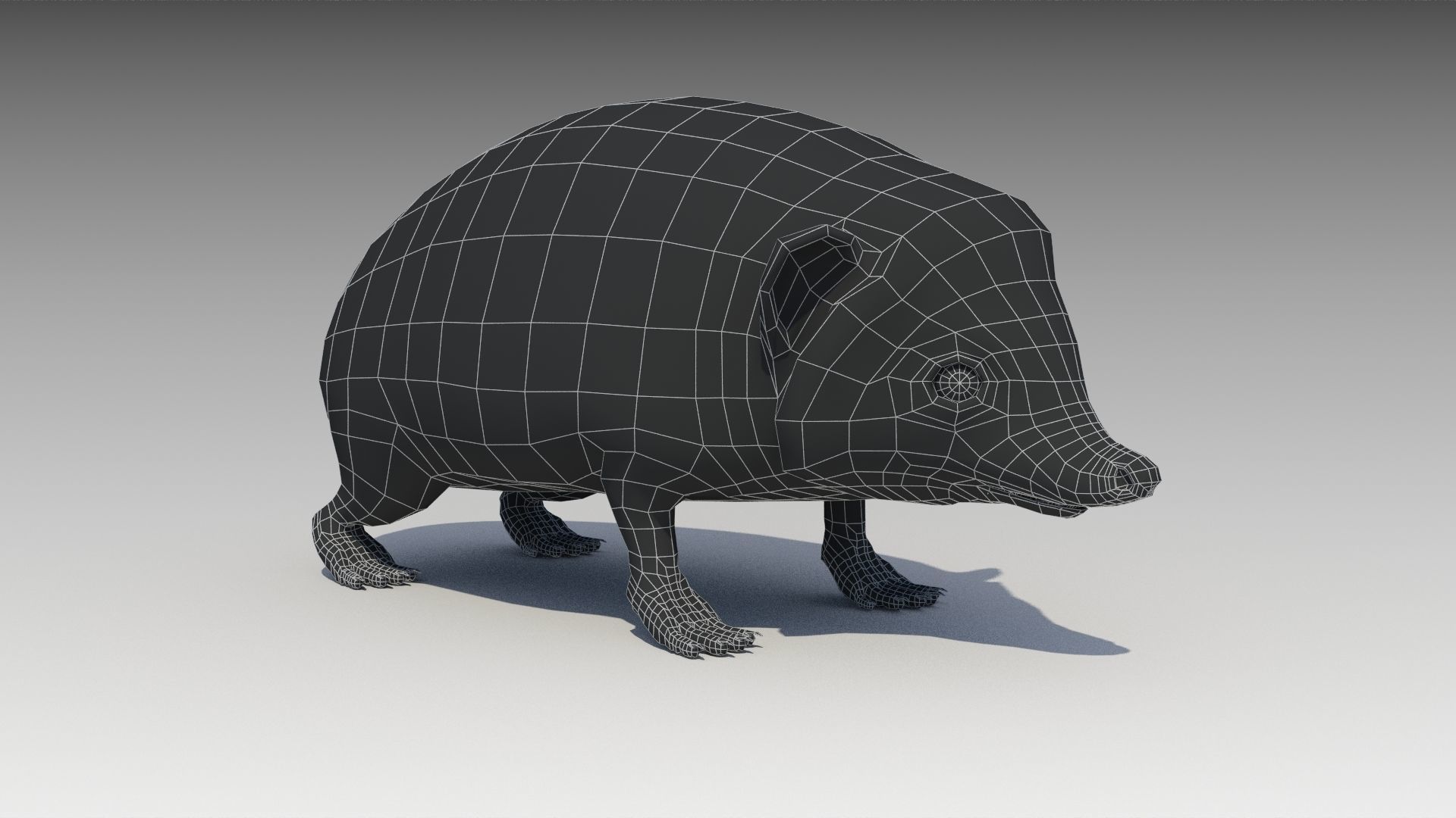 Hedgehog Animated Low-poly 3D model_11