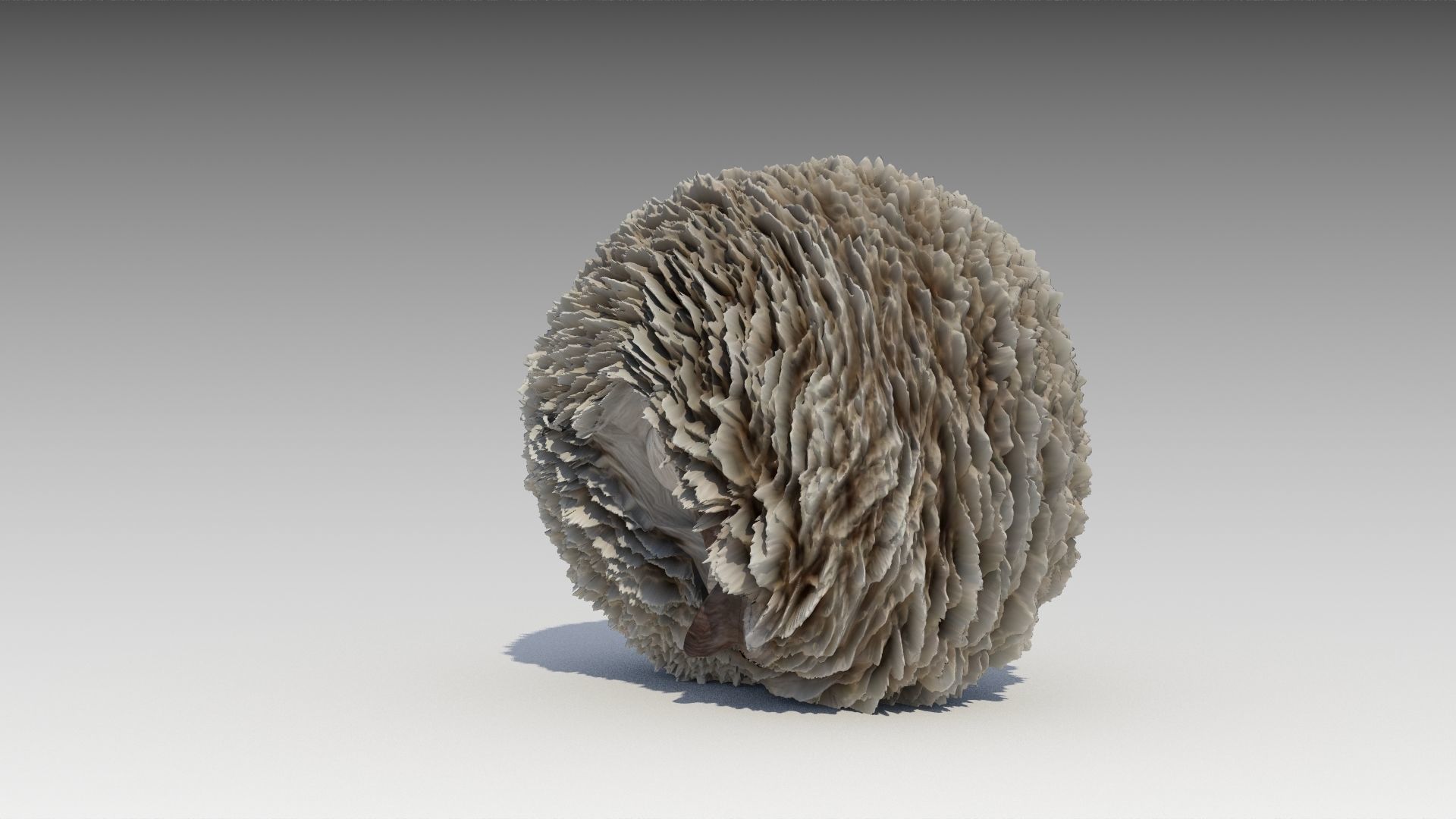Hedgehog Animated Low-poly 3D model_8