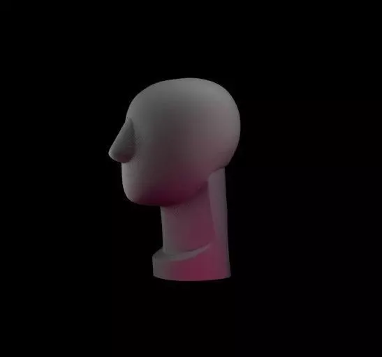 Round Head - John Asaro 3D model_0