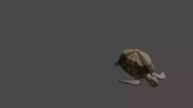 Sea turtle  Low-poly 3D model