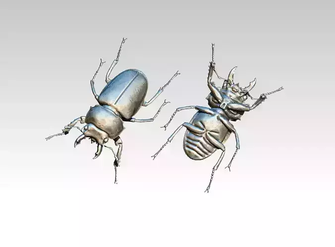 Stag Beetle Bug Fly 3D print model