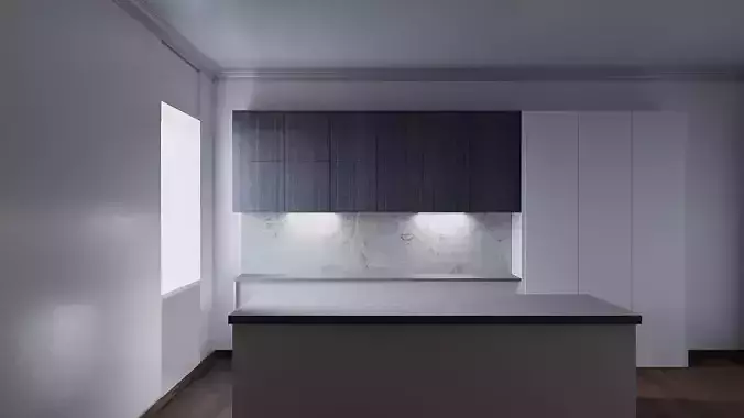 Modern Kitchen 