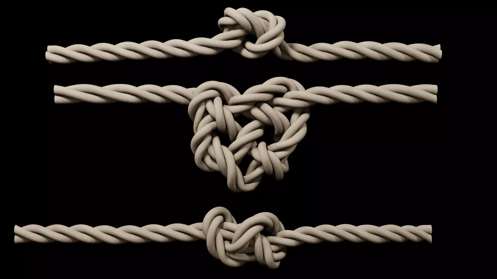rope with knots 3D model