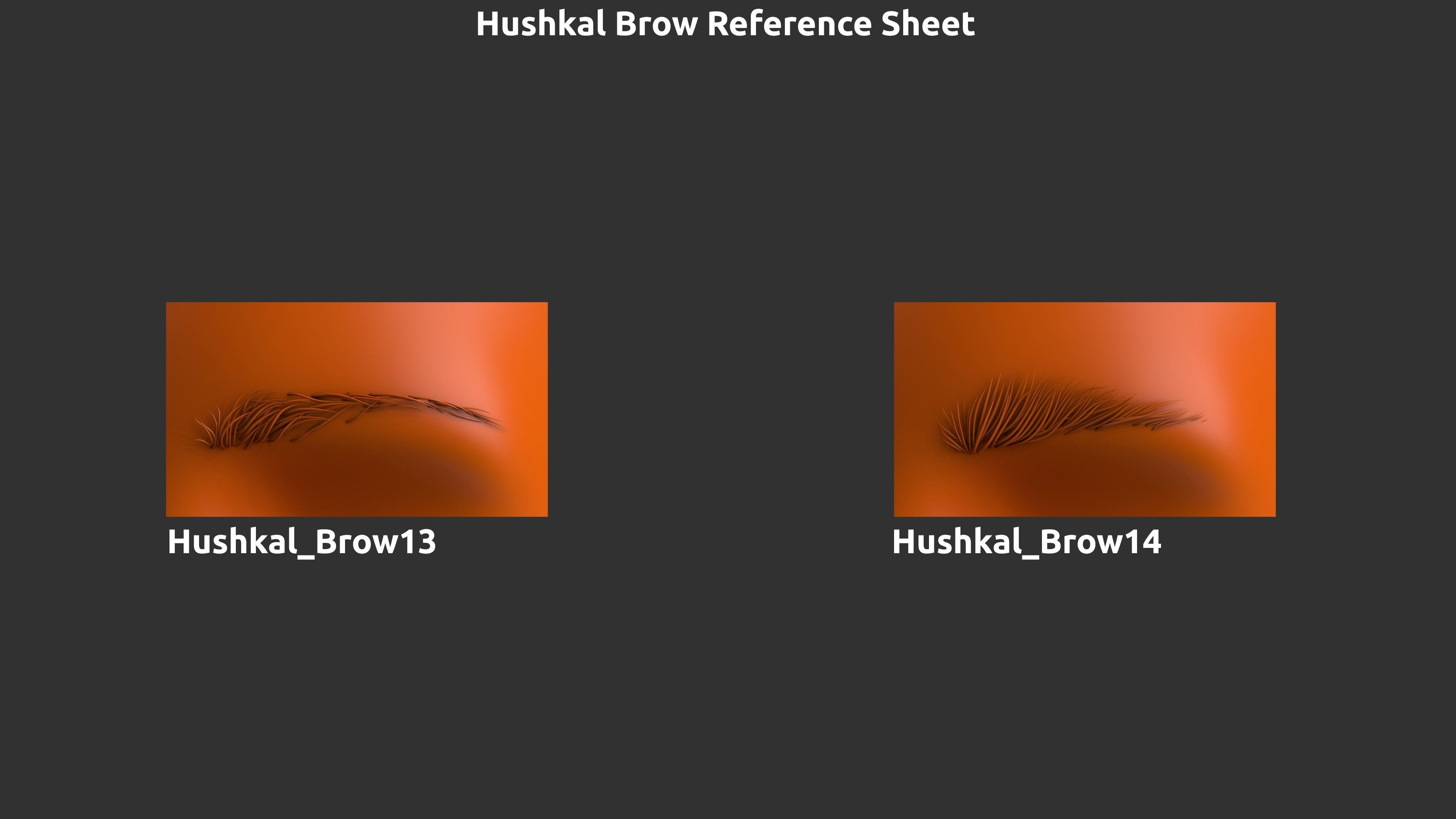 14 Zbrush Eyebrow IMMS 3D model_6